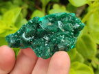 Natural Small Dioptase Specimens on Dolomite Matrix x 8 From Tantara Mine, Congo - Toprock Gemstones and Minerals 