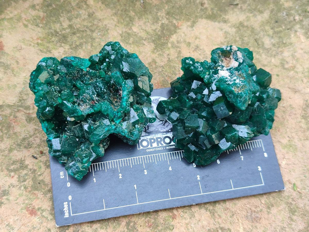 Natural Small Dioptase Specimens on Dolomite Matrix x 8 From Tantara Mine, Congo - Toprock Gemstones and Minerals 