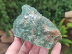 Natural Swazi Jade Cobbed Specimens x 12 From Swaziland