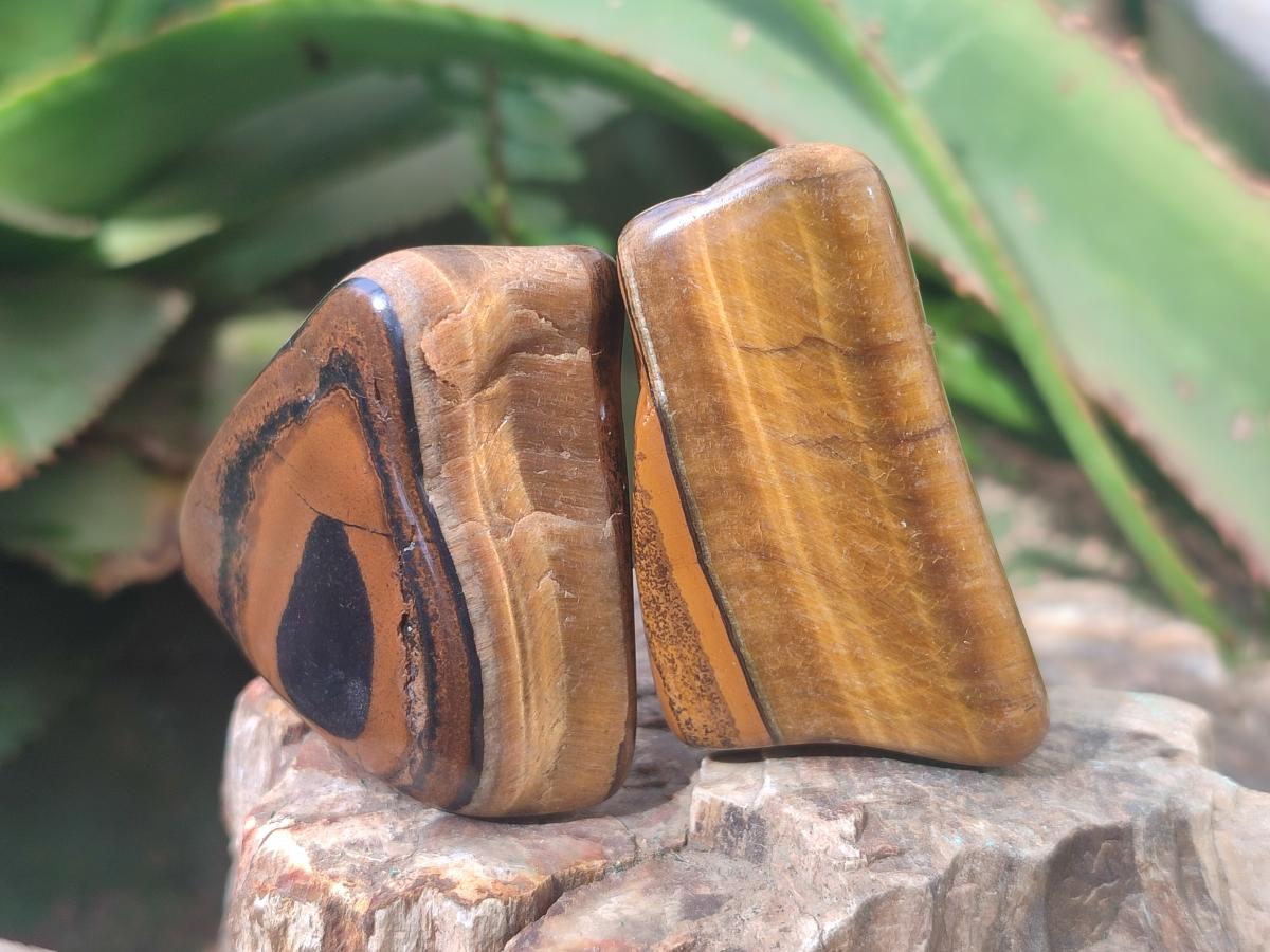 Polished Golden Tigers Eye Tumbled Free Forms x 70 From Prieska, South Africa