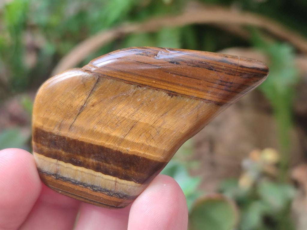 Polished Golden Tigers Eye Tumbled Free Forms x 70 From Prieska, South Africa