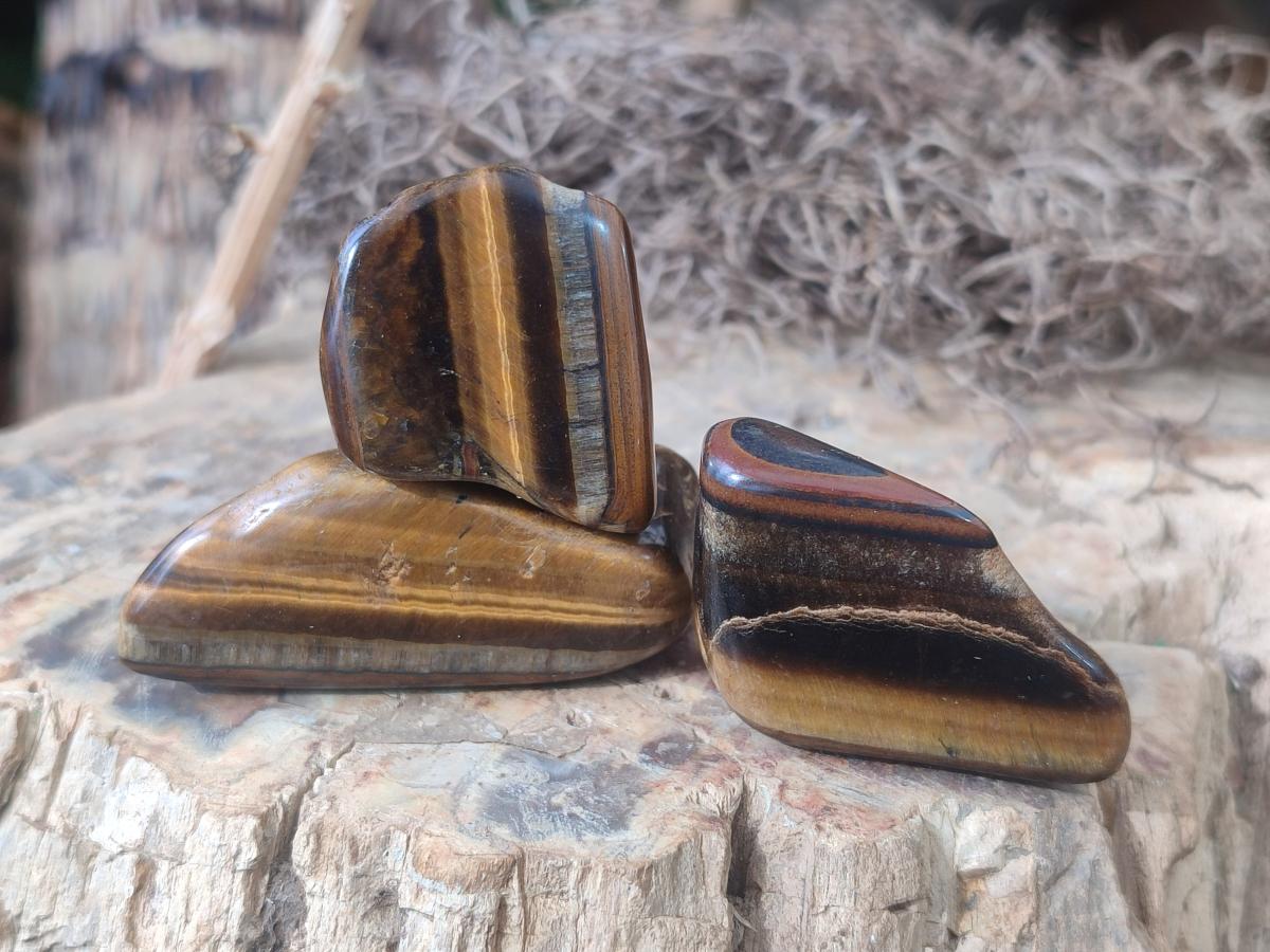 Polished Golden Tigers Eye Tumbled Free Forms x 70 From Prieska, South Africa