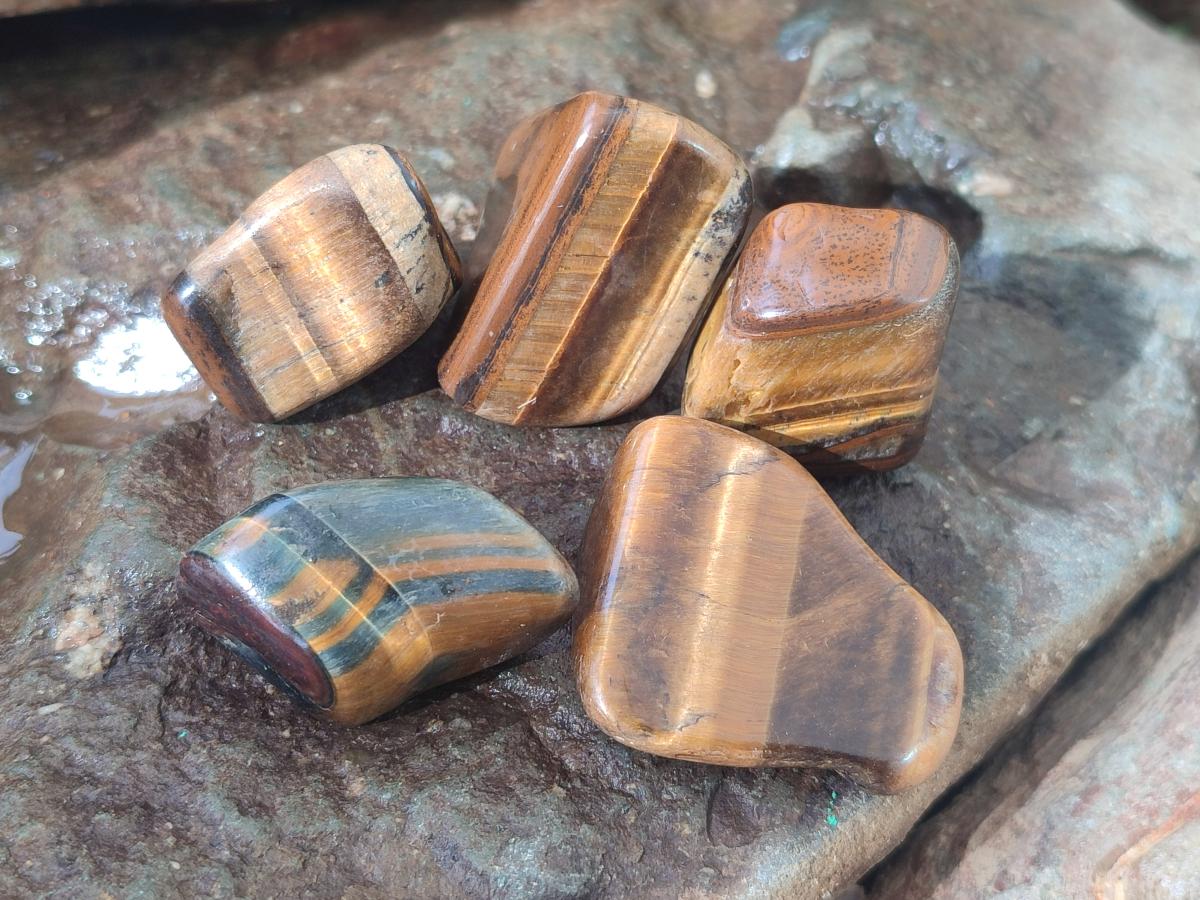 Polished Golden Tigers Eye Tumbled Free Forms x 70 From Prieska, South Africa