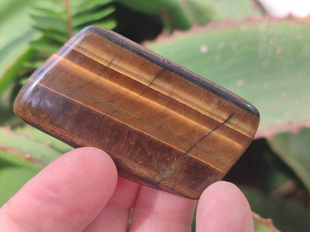 Polished Golden Tigers Eye Tumbled Free Forms x 70 From Prieska, South Africa