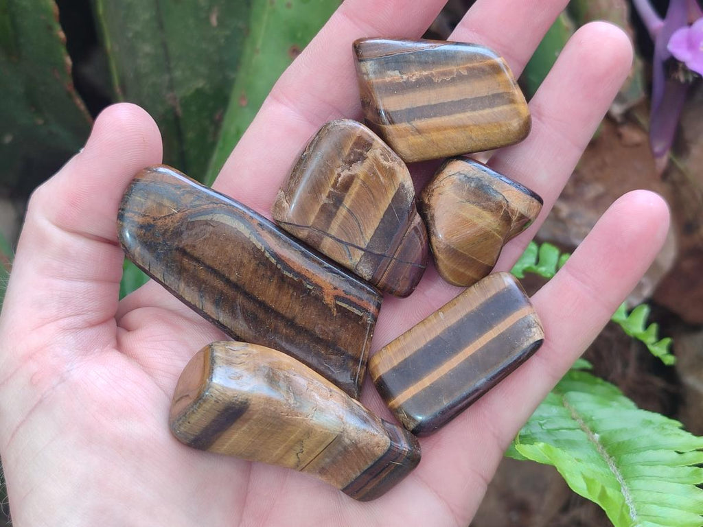 Polished Golden Tigers Eye Tumbled Free Forms x 70 From Prieska, South Africa
