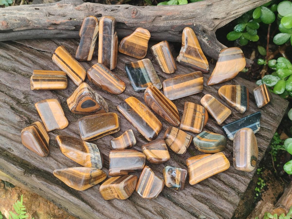 Polished Golden Tigers Eye Tumbled Free Forms x 70 From Prieska, South Africa