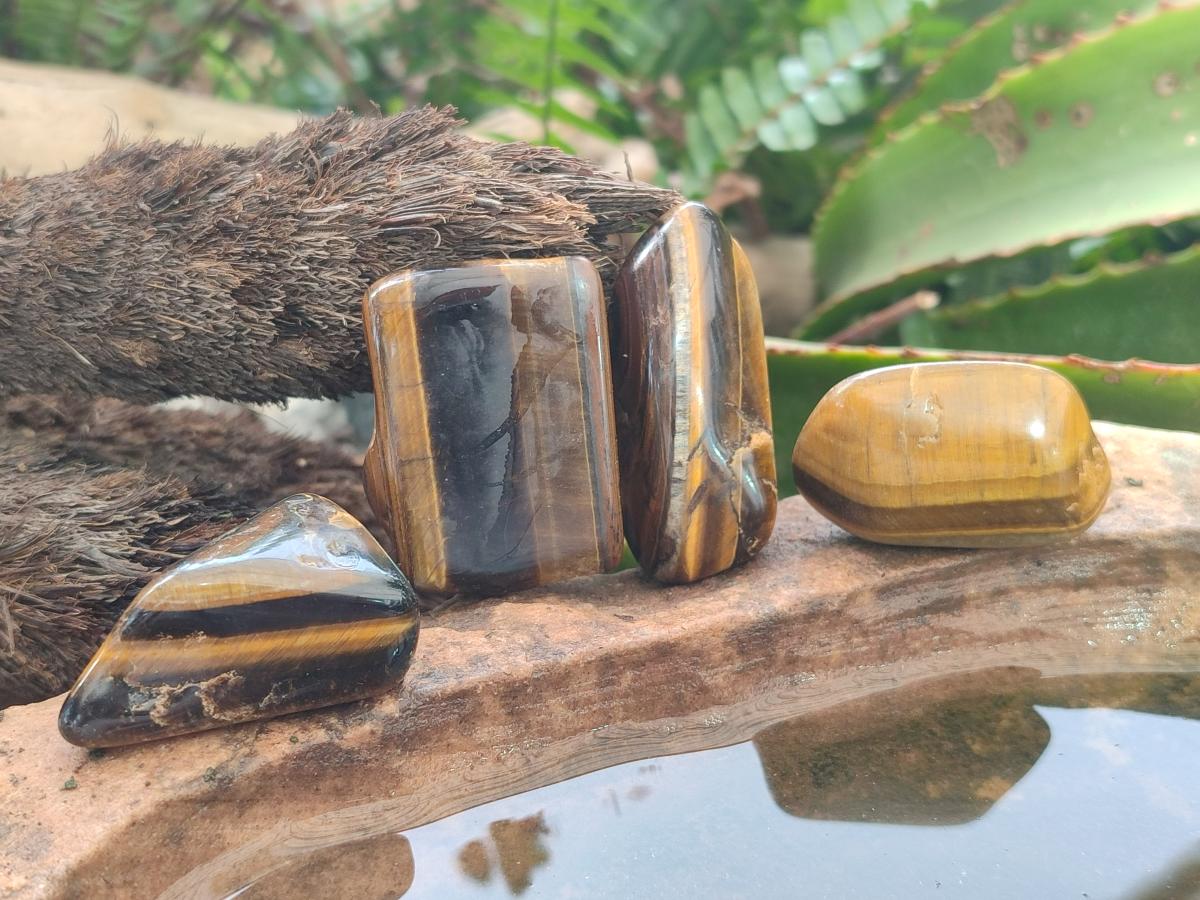 Polished Golden Tigers Eye Tumbled Free Forms x 70 From Prieska, South Africa
