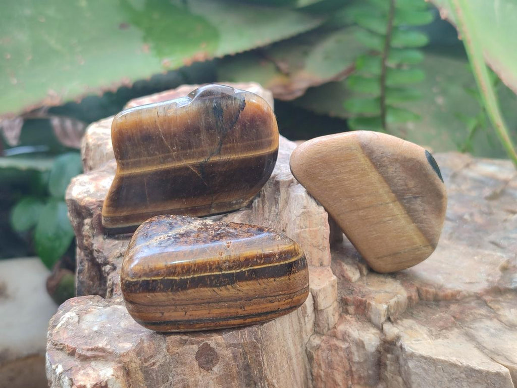 Polished Golden Tigers Eye Tumbled Free Forms x 70 From Prieska, South Africa