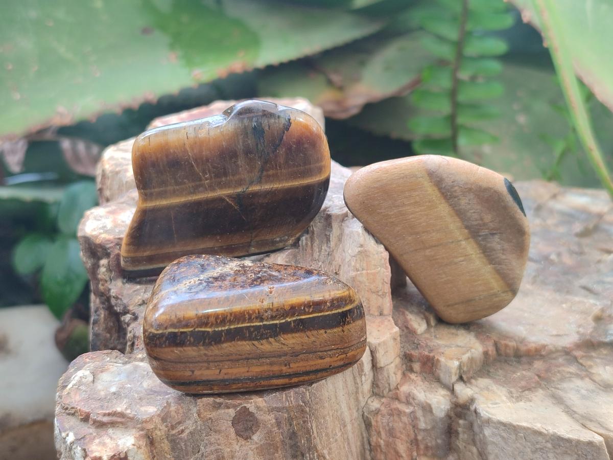 Polished Golden Tigers Eye Tumbled Free Forms x 70 From Prieska, South Africa