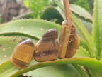 Polished Golden Tigers Eye Tumbled Free Forms x 70 From Prieska, South Africa
