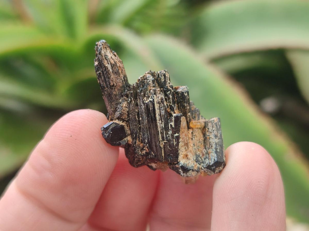 Natural Goshenite Aquamarine Specimens with Schorl Black Tourmaline x 70 From Erongo, Namibia