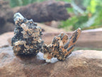 Natural Goshenite Aquamarine Specimens with Schorl Black Tourmaline x 70 From Erongo, Namibia