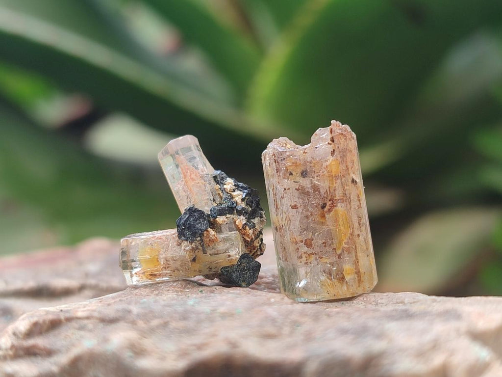 Natural Goshenite Aquamarine Specimens with Schorl Black Tourmaline x 70 From Erongo, Namibia