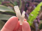 Natural Goshenite Aquamarine Specimens with Schorl Black Tourmaline x 70 From Erongo, Namibia