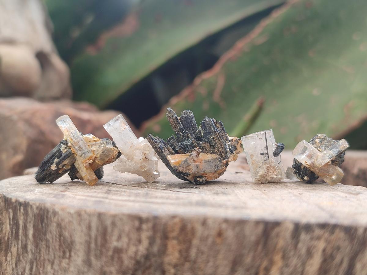 Natural Goshenite Aquamarine Specimens with Schorl Black Tourmaline x 70 From Erongo, Namibia