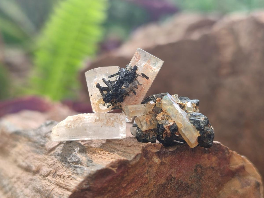 Natural Goshenite Aquamarine Specimens with Schorl Black Tourmaline x 70 From Erongo, Namibia