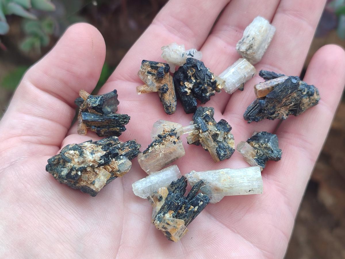 Natural Goshenite Aquamarine Specimens with Schorl Black Tourmaline x 70 From Erongo, Namibia