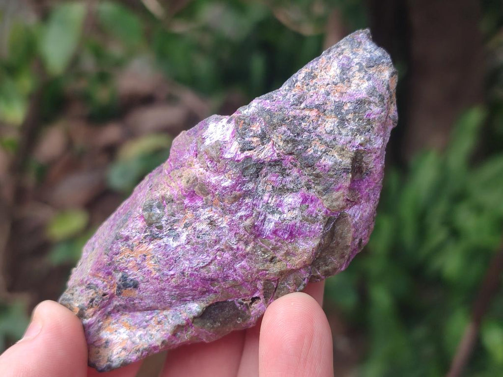 Natural Cobbed Stichtite Specimens x 35 From Barberton, South Africa