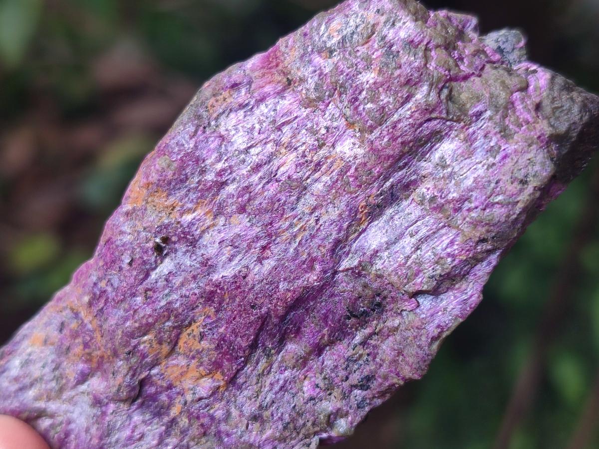 Natural Cobbed Stichtite Specimens x 35 From Barberton, South Africa
