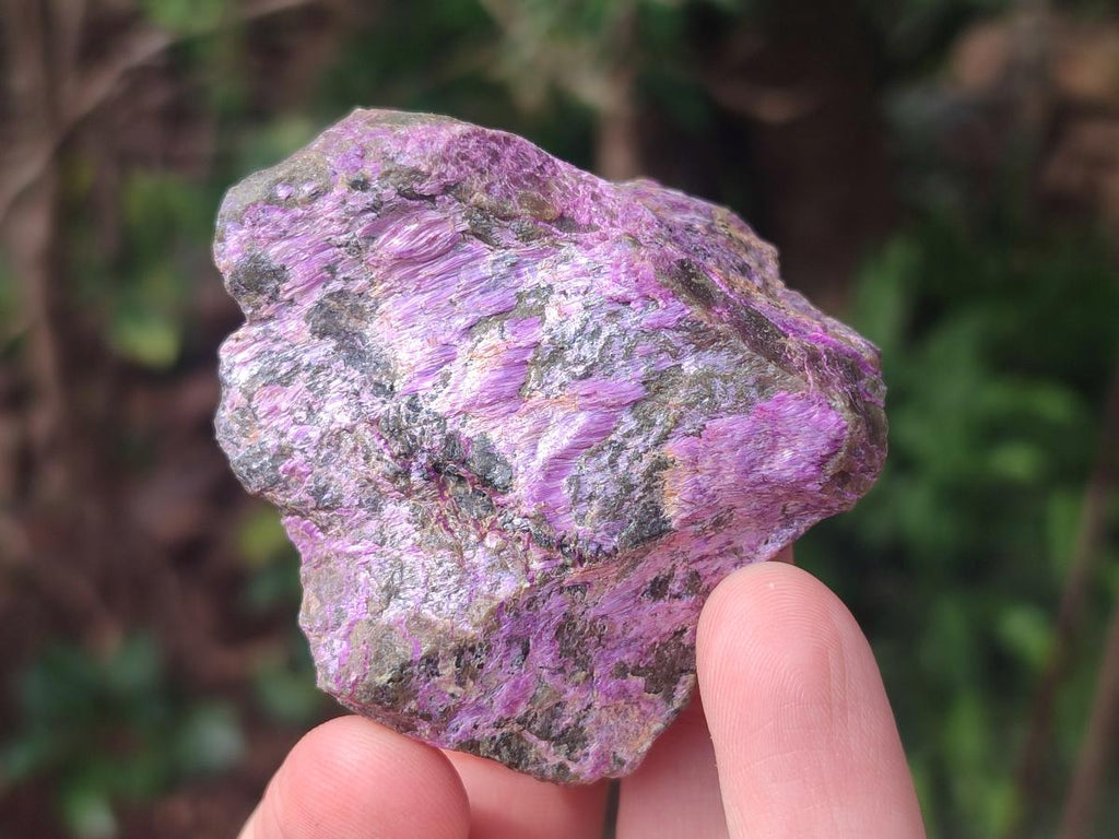 Natural Cobbed Stichtite Specimens x 35 From Barberton, South Africa