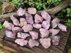 Natural Cobbed Stichtite Specimens x 35 From Barberton, South Africa