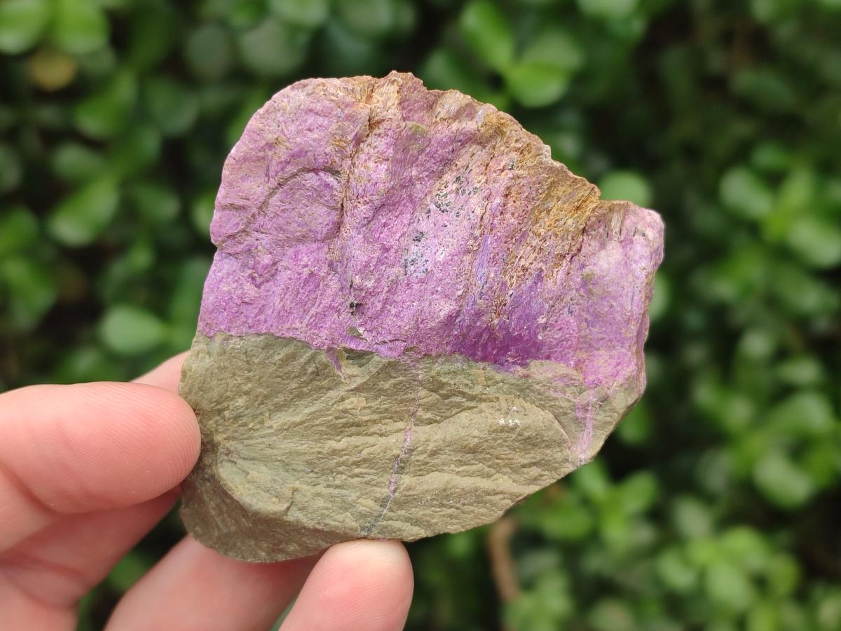 Natural Cobbed Stichtite Specimens x 35 From Barberton, South Africa