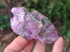 Natural Cobbed Stichtite Specimens x 35 From Barberton, South Africa