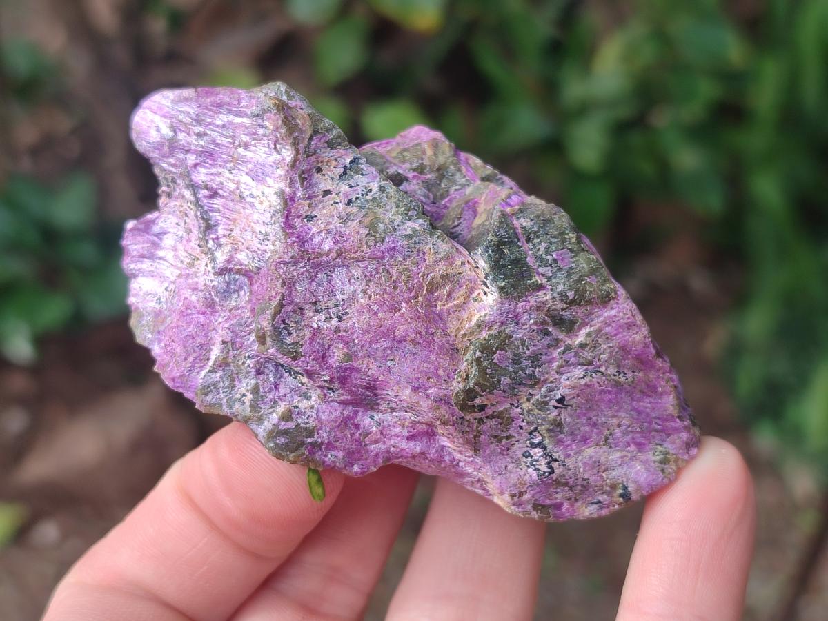Natural Cobbed Stichtite Specimens x 35 From Barberton, South Africa