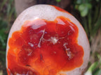 Polished and Natural Carnelian Agate Gemstone Standing Display Pieces x 2 From Madagascar