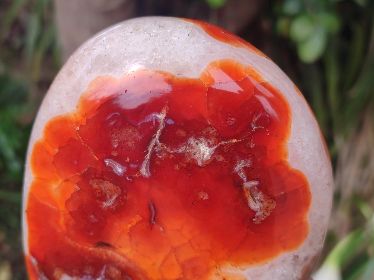 Polished and Natural Carnelian Agate Gemstone Standing Display Pieces x 2 From Madagascar