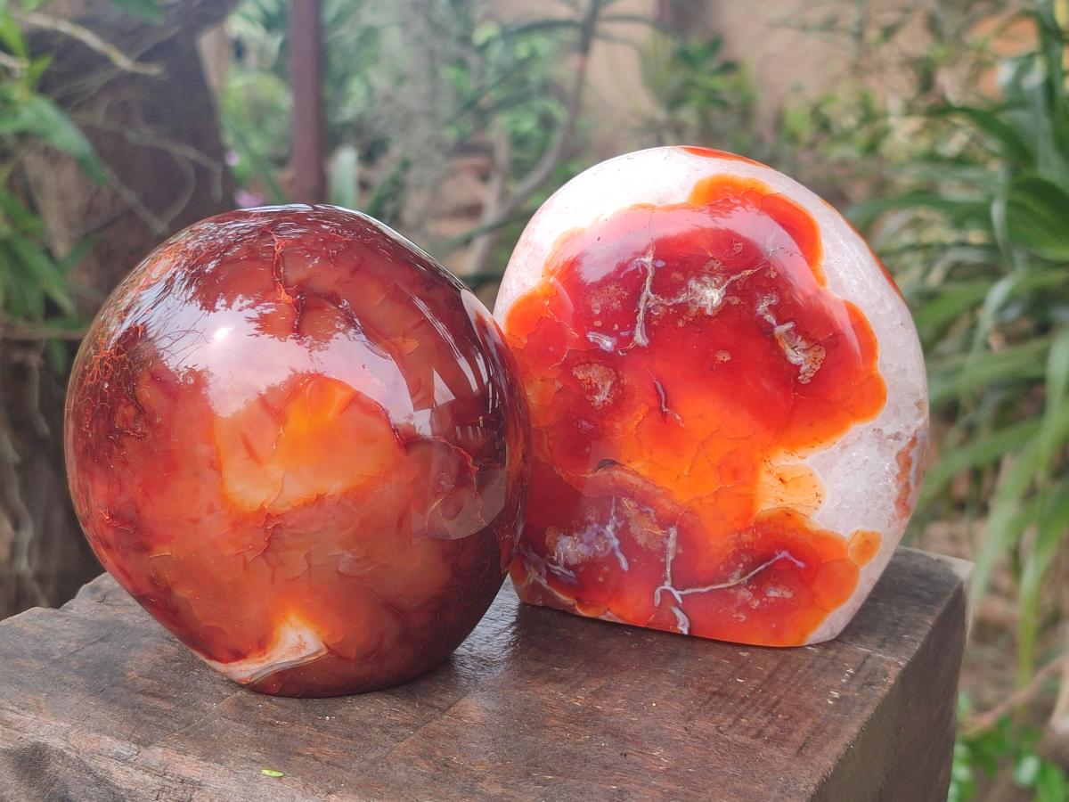 Polished and Natural Carnelian Agate Gemstone Standing Display Pieces x 2 From Madagascar