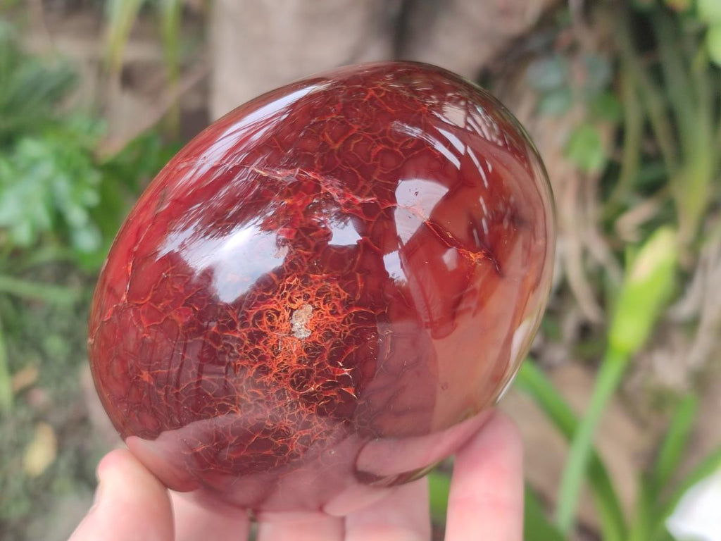 Polished and Natural Carnelian Agate Gemstone Standing Display Pieces x 2 From Madagascar