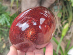 Polished and Natural Carnelian Agate Gemstone Standing Display Pieces x 2 From Madagascar