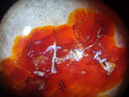 Polished and Natural Carnelian Agate Gemstone Standing Display Pieces x 2 From Madagascar