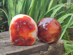 Polished and Natural Carnelian Agate Gemstone Standing Display Pieces x 2 From Madagascar