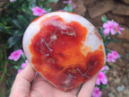 Polished and Natural Carnelian Agate Gemstone Standing Display Pieces x 2 From Madagascar