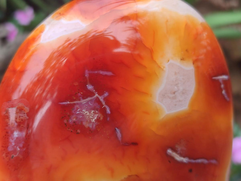 Polished and Natural Carnelian Agate Gemstone Standing Display Pieces x 2 From Madagascar