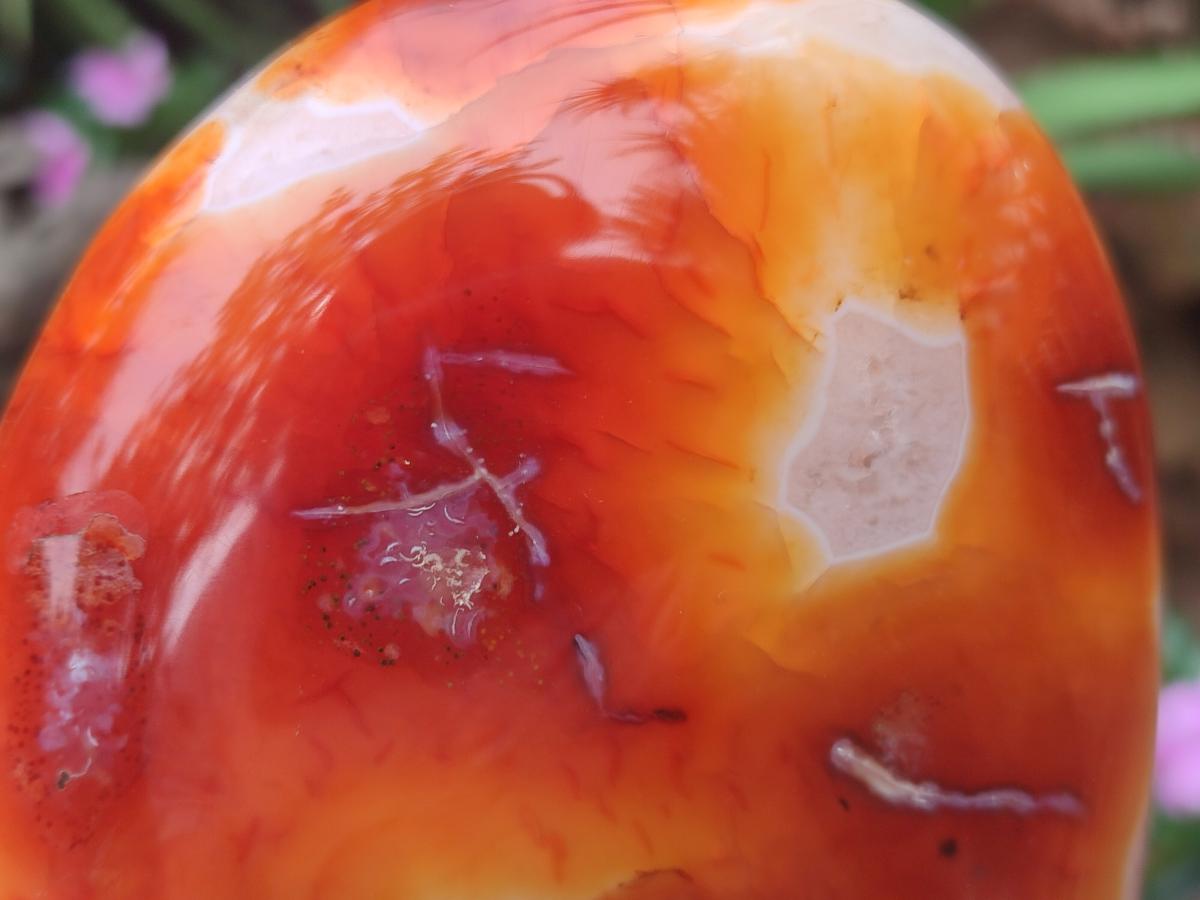 Polished and Natural Carnelian Agate Gemstone Standing Display Pieces x 2 From Madagascar
