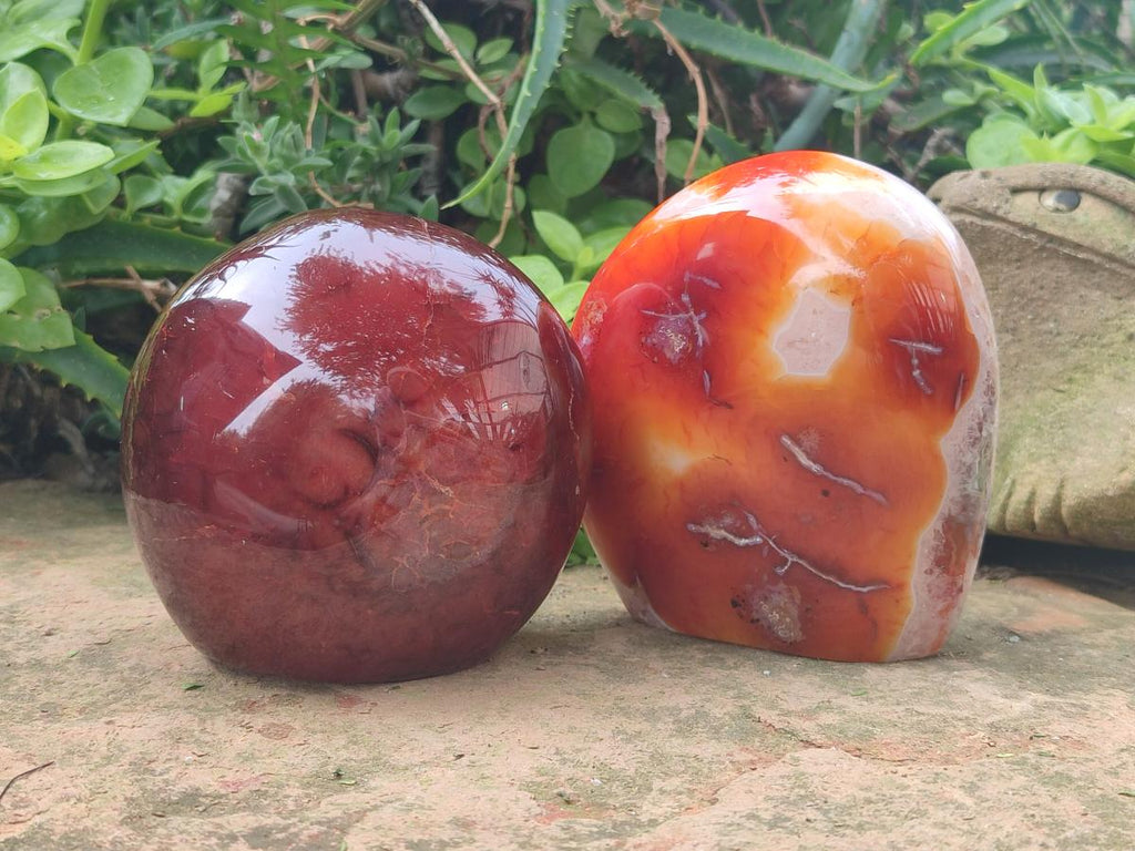 Polished and Natural Carnelian Agate Gemstone Standing Display Pieces x 2 From Madagascar