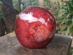 Polished and Natural Carnelian Agate Gemstone Standing Display Pieces x 2 From Madagascar
