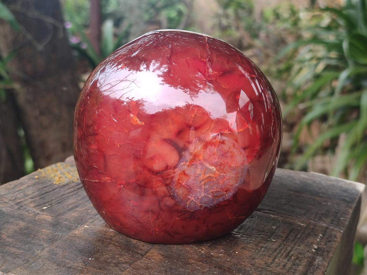 Polished and Natural Carnelian Agate Gemstone Standing Display Pieces x 2 From Madagascar