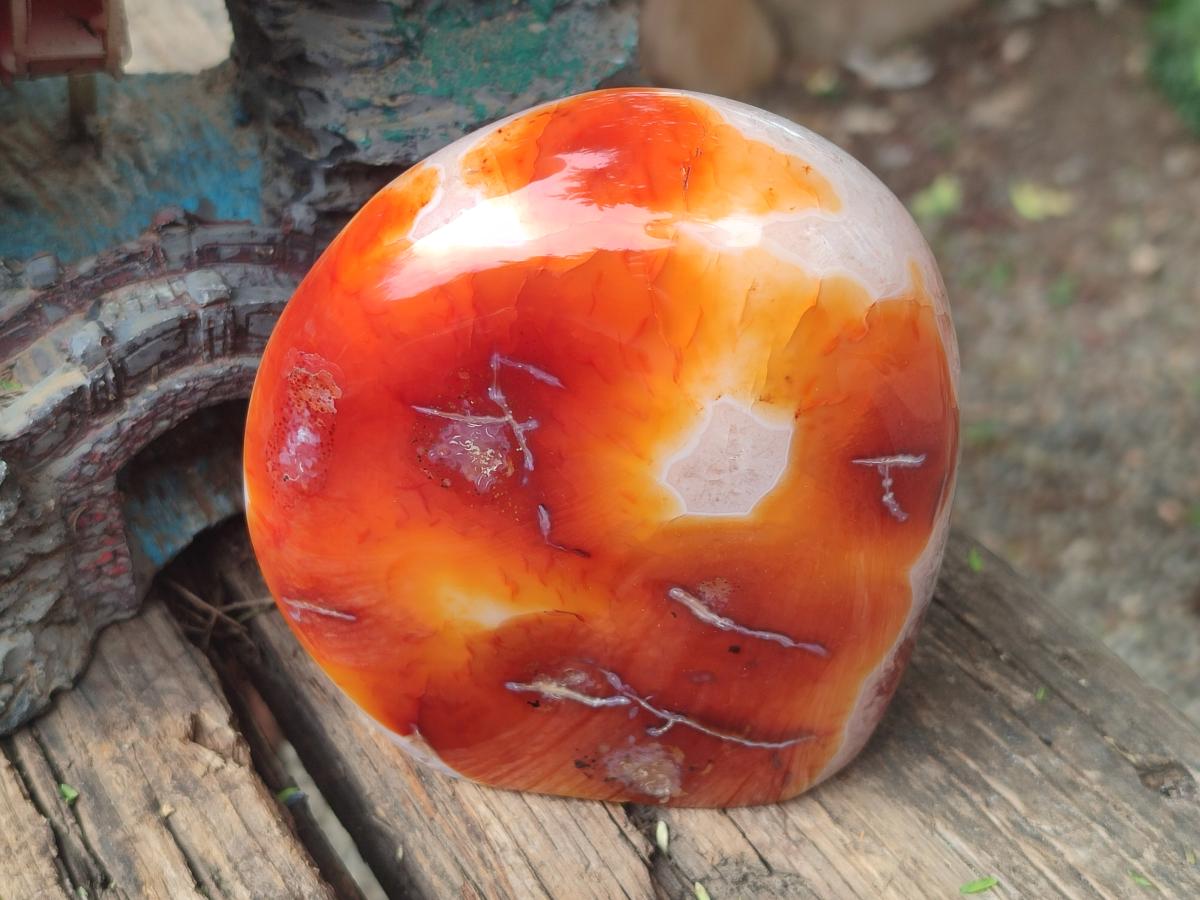 Polished and Natural Carnelian Agate Gemstone Standing Display Pieces x 2 From Madagascar