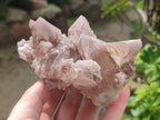 Natural Red Hematoid Quartz Clusters x 3 From Karoi, Zimbabwe