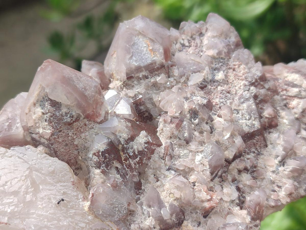 Natural Red Hematoid Quartz Clusters x 3 From Karoi, Zimbabwe