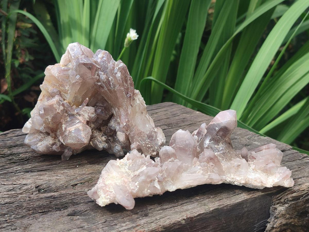 Natural Red Hematoid Quartz Clusters x 3 From Karoi, Zimbabwe