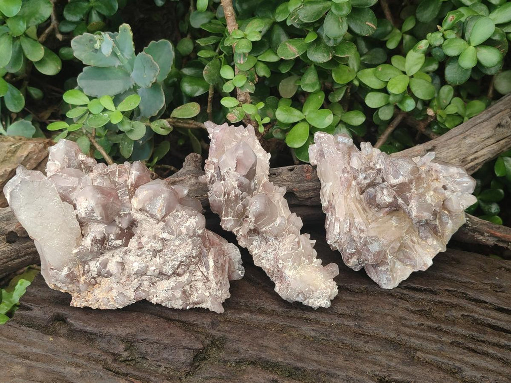 Natural Red Hematoid Quartz Clusters x 3 From Karoi, Zimbabwe