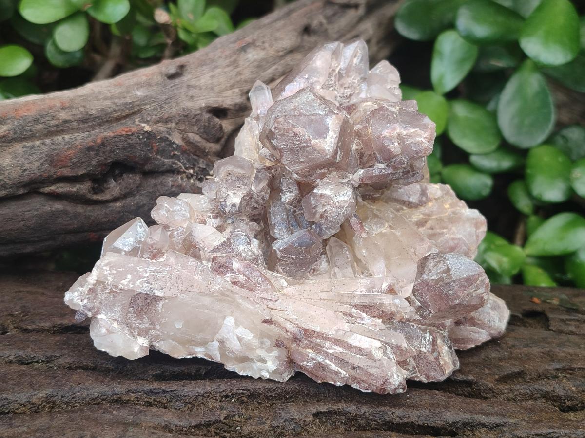 Natural Red Hematoid Quartz Clusters x 3 From Karoi, Zimbabwe