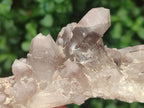 Natural Red Hematoid Quartz Clusters x 3 From Karoi, Zimbabwe