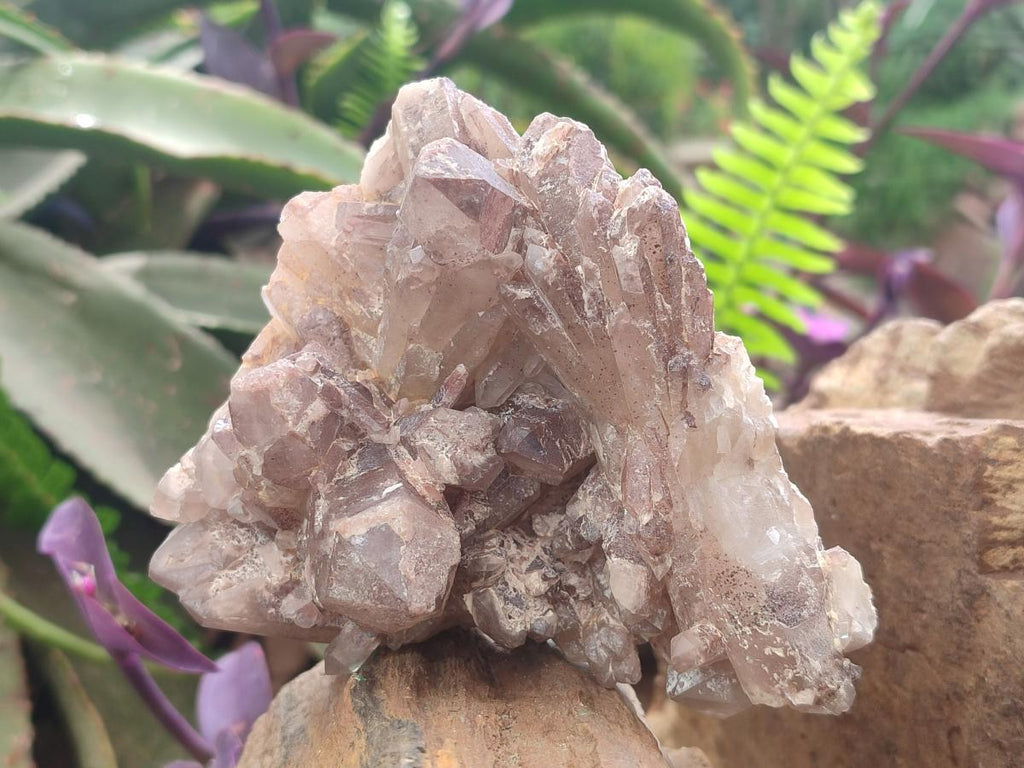 Natural Red Hematoid Quartz Clusters x 3 From Karoi, Zimbabwe