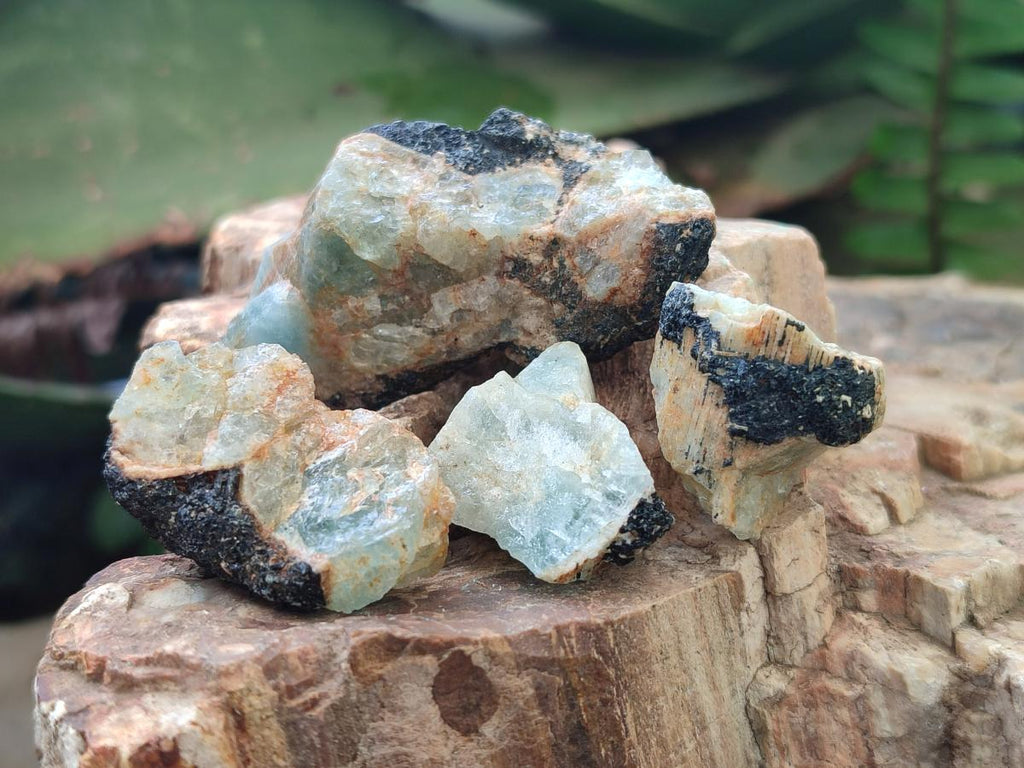Natural Rare Aquamarine in Black Tourmaline Crystal Specimens x 1,48 Kg Lot From Karibib, Namibia